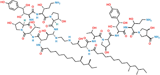 Caspofungin Dimer 1