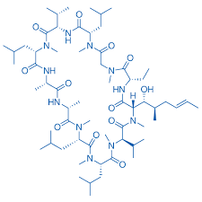 Cyclosporine Impurity H