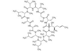 Cyclosporin Impurity A