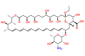 Amphotericin Impurity C