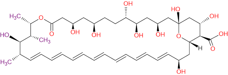 Amphotericin B aglycon impurity